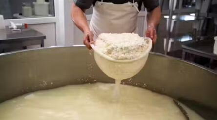 Image for Huge volumes of whey go to waste. We could do much more with this nutrient-rich liquid