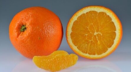 Image for Pectin360, Original Juice Company to collaborate on pilot plant for upcycling fruit waste