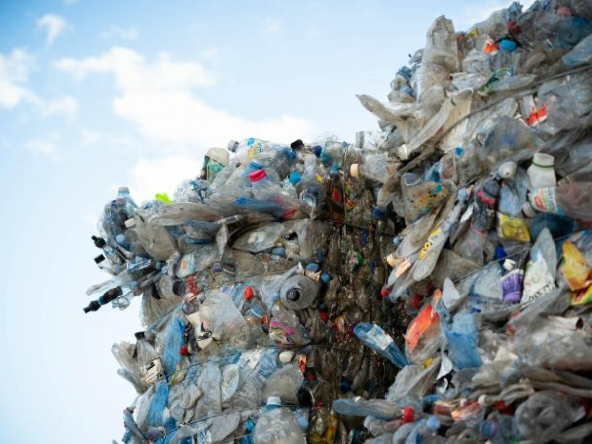 PACT-Albury-17-1200×900-c-default (1)