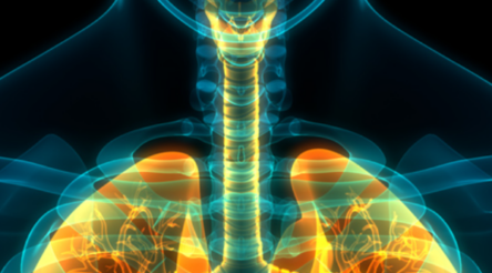 Image for Cash infusion fast tracks InhaleRx inhaled therapies