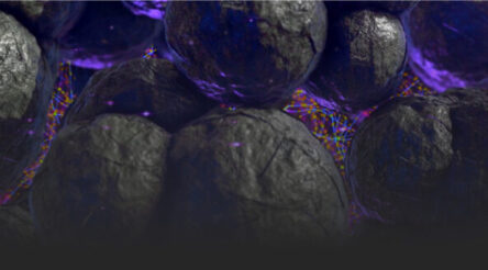 Image for ARENA awards $4 million grant to AnteoTech to progress silicon anodes