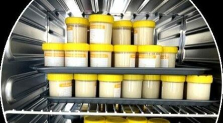 Image for Food scientists create “super yoghurt” formula with sweet lupins