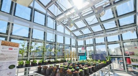 Image for ClearVue strengthens greenhouse business with Israeli IP