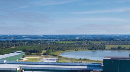 Image for ByoMax could replace coke at Colie steel mill