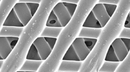 Image for Osteopore invests in stem cell, aging research