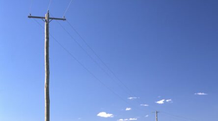 Image for New Koppers pine processing plant launched