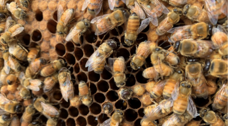 Image for 12 WA startups awarded $736,157 in grants