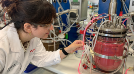 Image for Bioplastics uses confused by lack of labelling – CSIRO