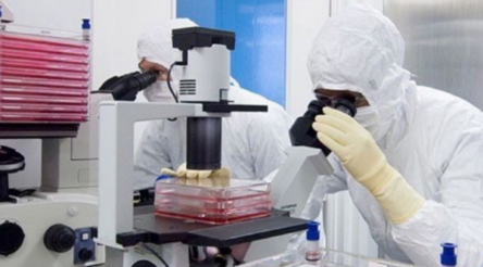 Image for Mesoblast drug gets approval from FDA, but shares drop