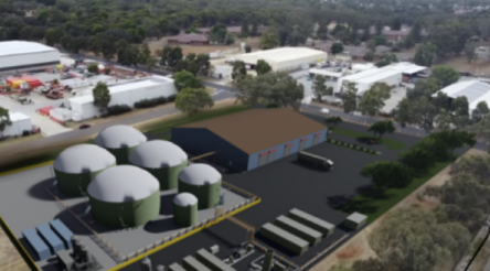 Image for Delorean to construct SA bioenergy project