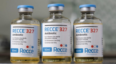 Image for Innovative gel offers hope against resistant infections in trial