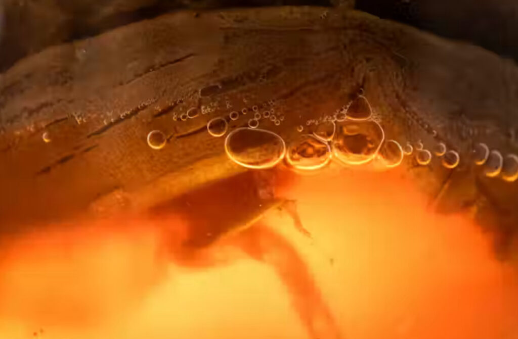 Fermented clothing? Here’s how the biofilm on kombucha can be turned into green textiles