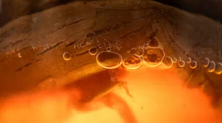 Image for Fermented clothing? Here’s how the biofilm on kombucha can be turned into green textiles