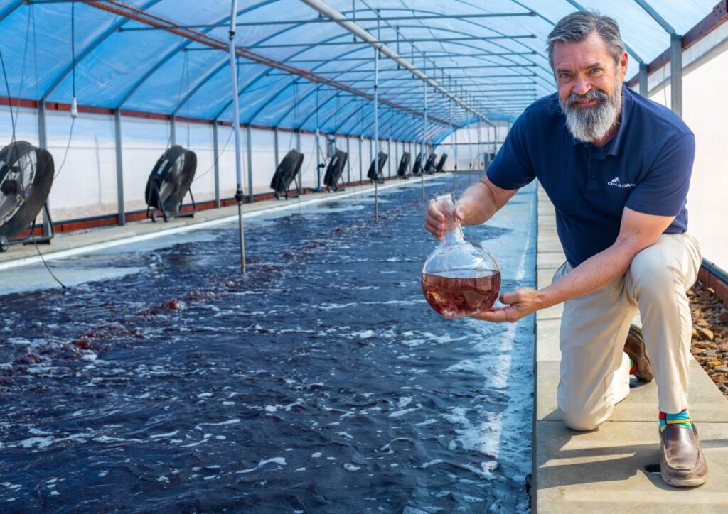 Livestock supplement specialist CH4 Global opens world-first asparagopsis farm