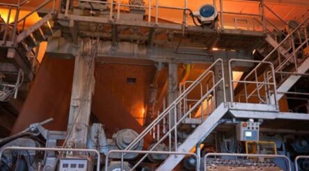 Image for $2.8 billion sanitary paper manufacturing industry under pressure