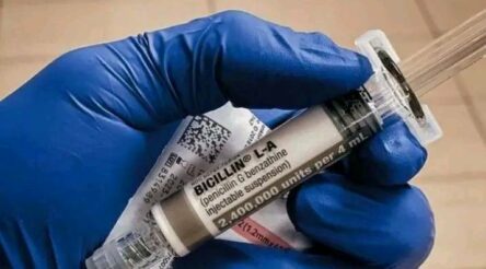 Image for Call for homegrown medicine production as penicillin imports dry up