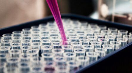 Image for Zelira wins Gov tax refund for cannabinoid research