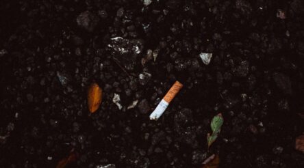 Image for JCU researchers use charred ciggie butts to clean up wastewater