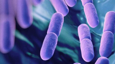 Image for Biome teams up with FaBA to supercharge probiotic innovation