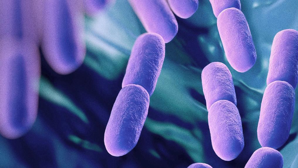 Biome teams up with FaBA to supercharge probiotic innovation