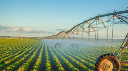 Image for Queensland manufacturers get R&D boost from CSIRO