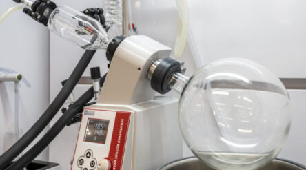 Image for Best of the week — the five most popular stories among readers, March 17 – March 21, 2025