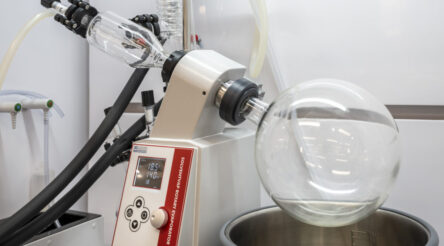 Image for The startup plucking critical minerals from battery waste using chicken feed