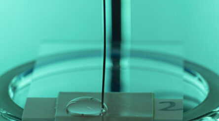 Image for Scientists shocked by water’s hidden electrical power