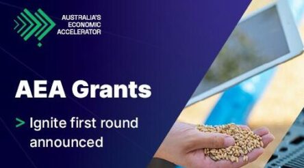 Image for Australian universities receive $59m in AEA Ignite grants for research