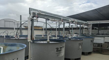 Image for Manufacturing news briefs — stories you might have missed