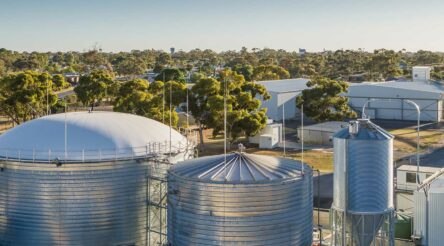 Image for Delorean wins ‘game changing’ ARENA grant for bioenergy