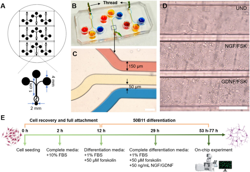 Scientists create 'pain-on-a-chip' device to identify chronic pain types