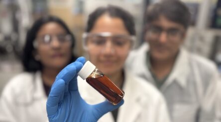 Image for RMIT pyrolysis process promises cheaper, more sustainable catalysts for bio-oils