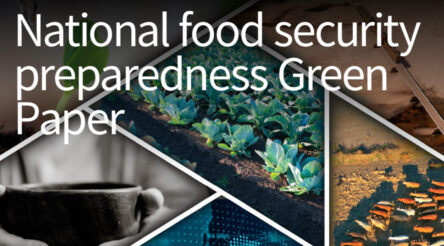 Image for New report urges stronger food security preparedness