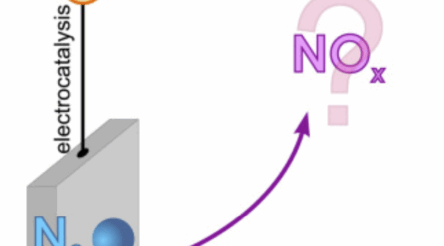 Image for Monash scientists urge caution on green nitrate fertiliser claims