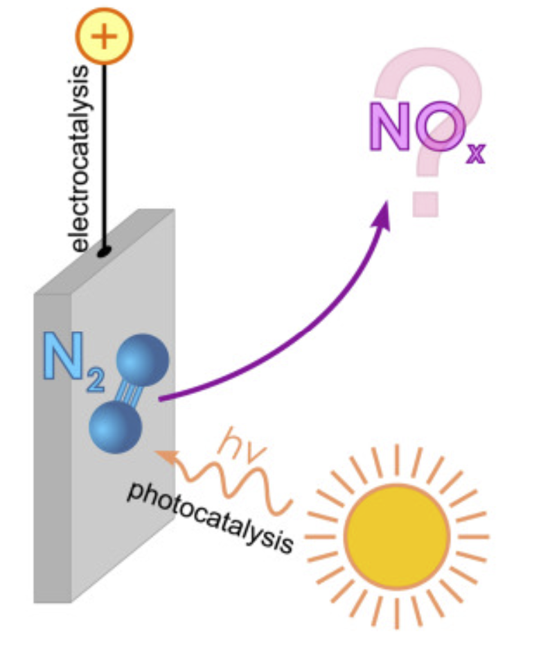 Monash scientists urge caution on green nitrate fertiliser claims