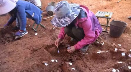 Image for Stone tool discovery in China shows people in East Asia were innovating during the Middle Paleolithic, like in Europe and Middle East