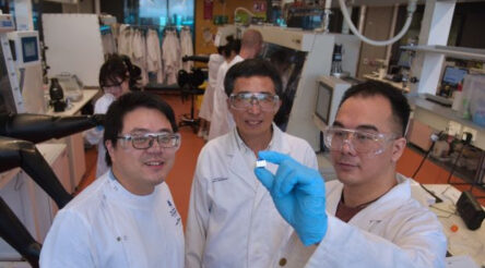 Image for Tin halide perovskite solar cell record falls to UQ team