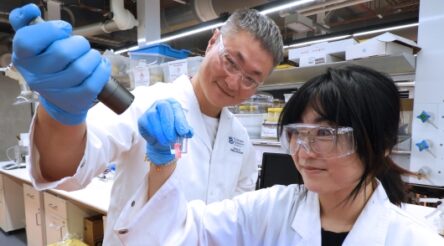 Image for Quantum dots could lead to wearable X-ray solution for lung imaging