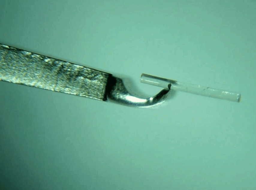 PolyActiva Implant 2400×1268