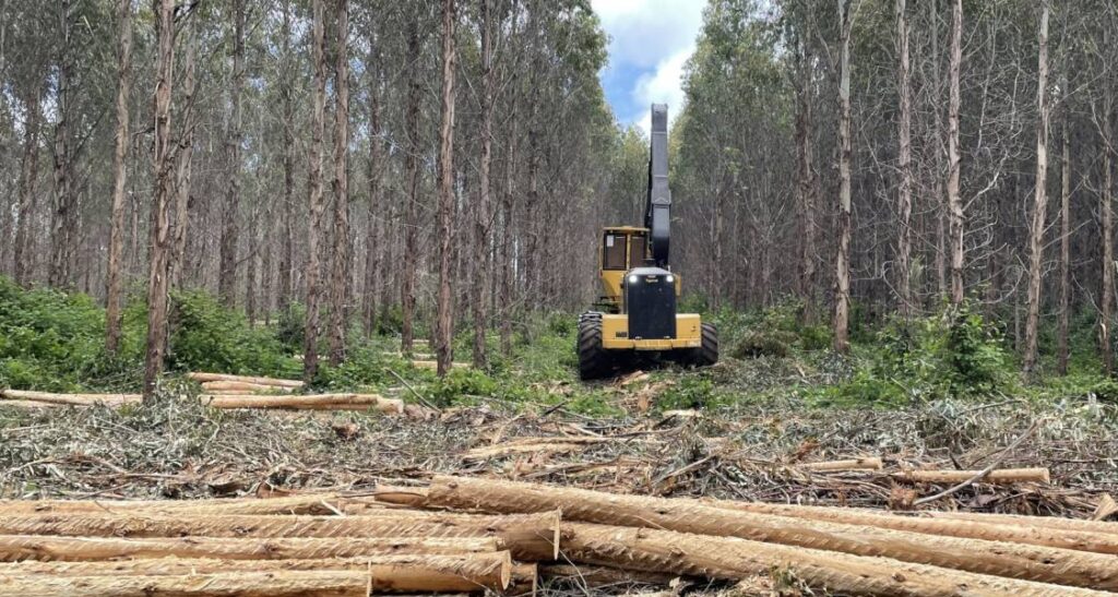 Grants up to $2 million available through Tasmanian On-Island Processing Program round two