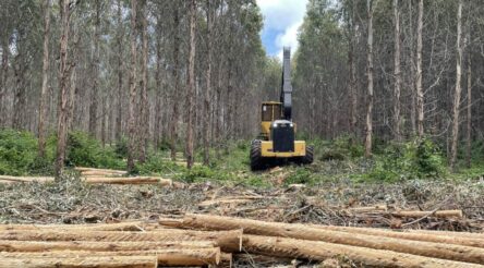 Image for Grants up to $2 million available through Tasmanian On-Island Processing Program round two