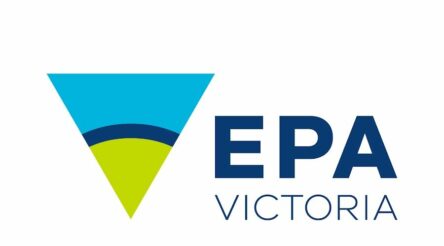 Image for Dandenong dairy waste stink attracts “swarm of insects”, fine