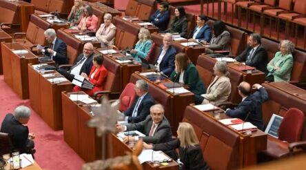 Image for Labor makes Senate gains, and left-wing parties will hold a Senate majority