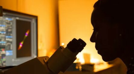 Image for The federal government wants to boost productivity. Science can help