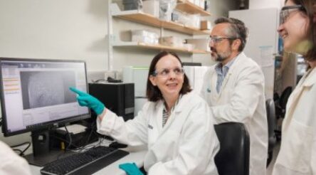 Image for $1.25 million awarded to progress University of Queensland-developed prostate cancer drug