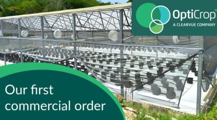 Image for ClearVue subsidiary lands first commercial greenhouse contract