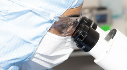 Image for Melbourne company wins stem cell manufacturing licence in Australian first