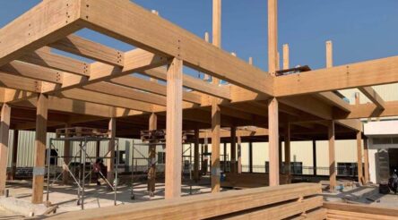 Image for Three-city bamboo events to ask why the material’s benefits are being ignored in Australia