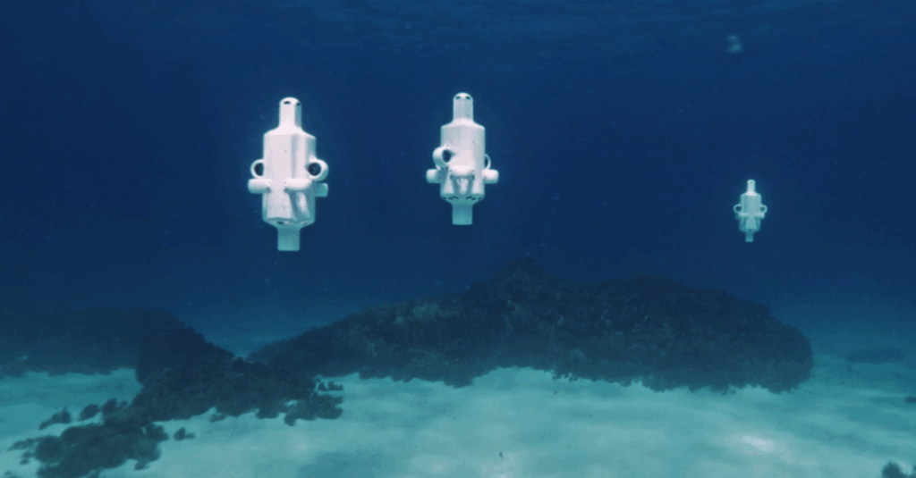 Robot submarines reveal coral catastrophe at Australia's southernmost reef